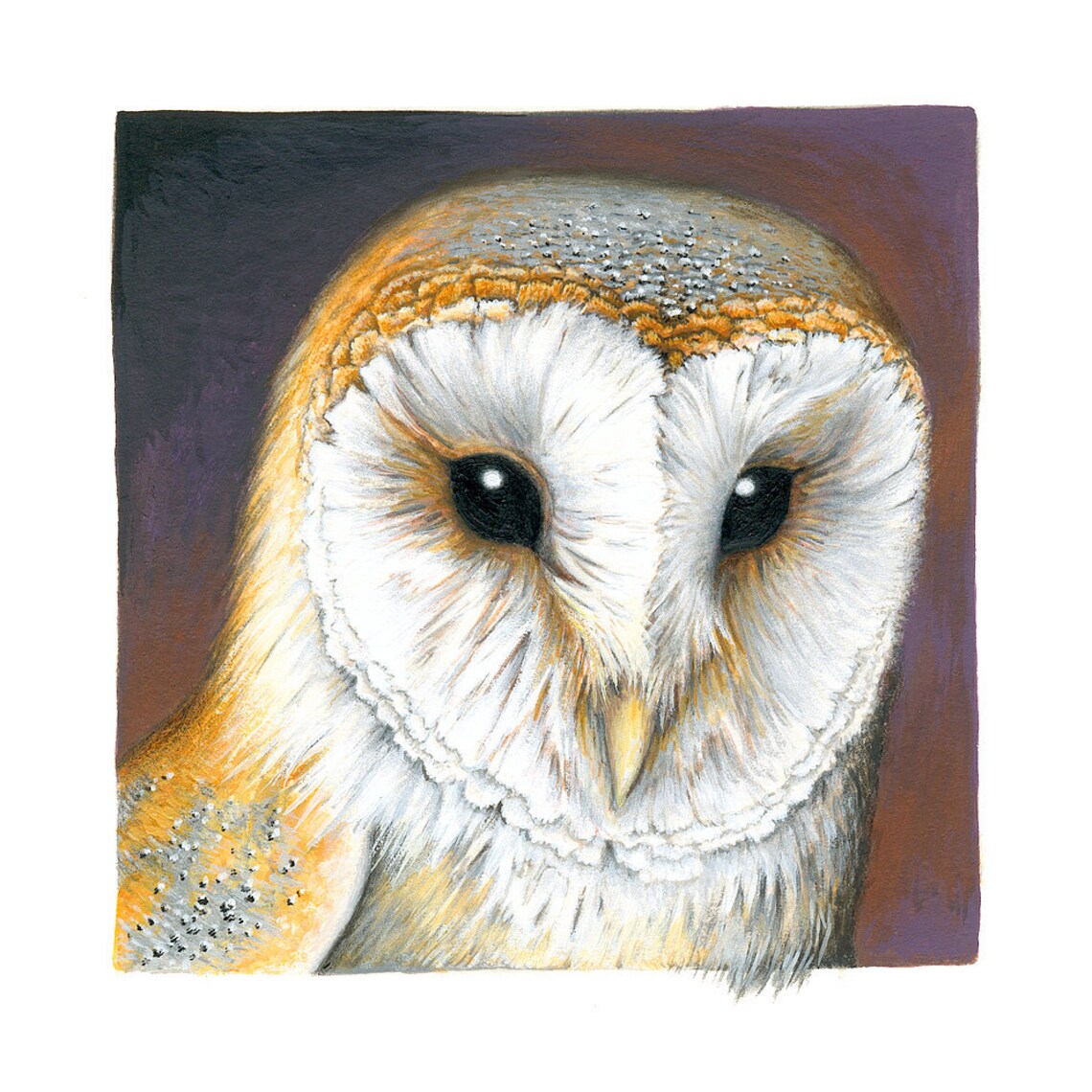 PRINT 'barn Owl' - Etsy