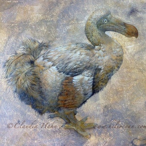 A4 Print &#39;The Lonely Dodo&#39;