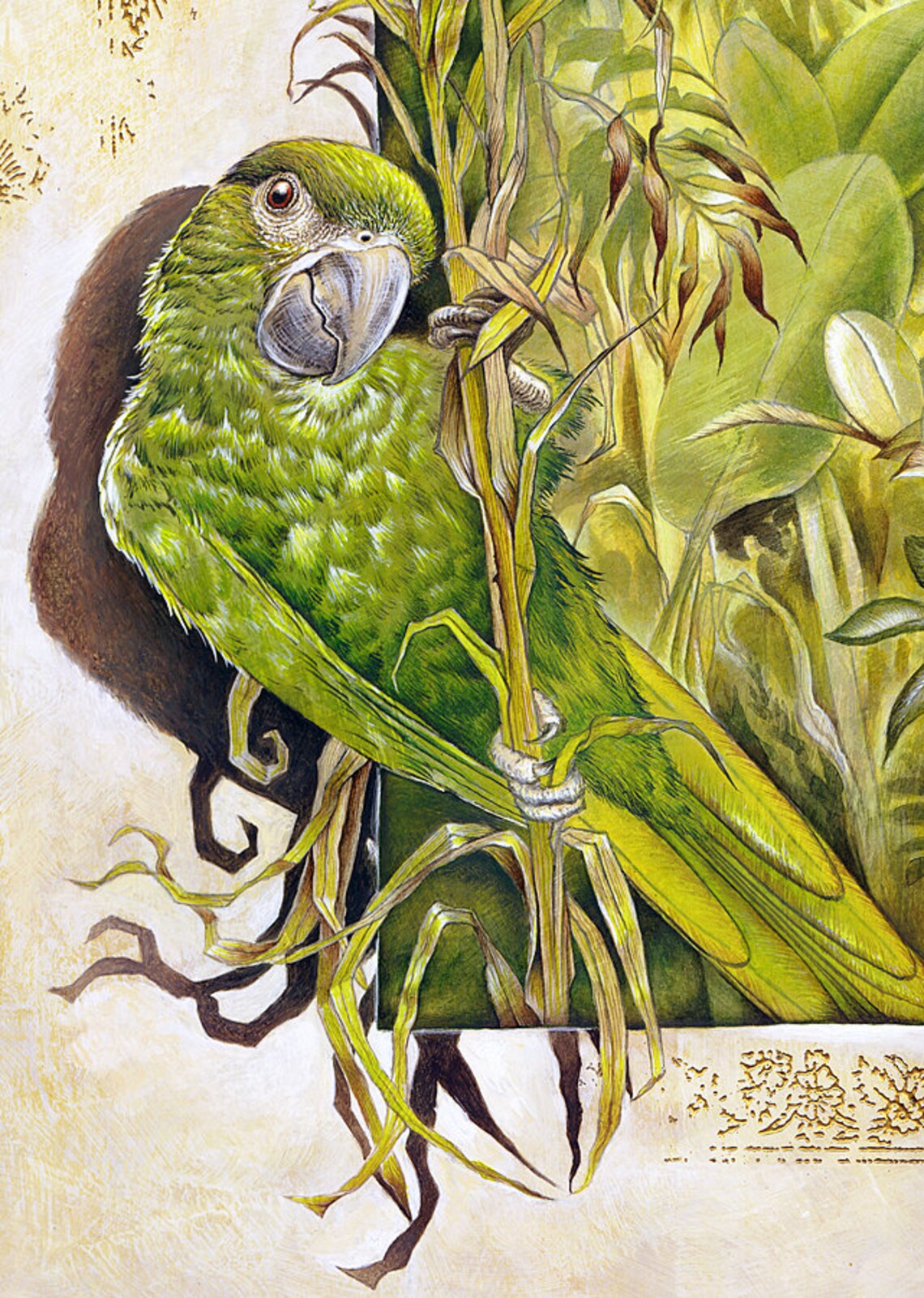 Large PRINT 'birds of a Feather', Hahn's Macaws - Etsy