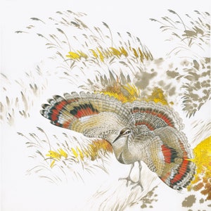 May include: A detailed illustration of a bird with brown, gray, red, and black feathers. The bird is standing in a field of tall grass with yellow flowers. The background is white.