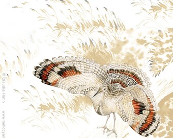 Large PRINT 'The Sunbittern'