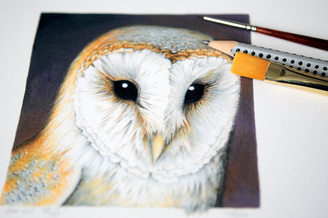 PRINT 'barn Owl' - Etsy
