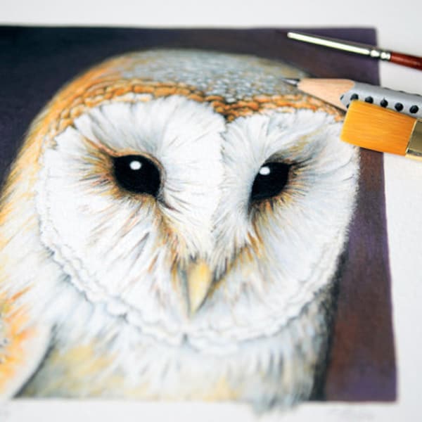 PRINT 'Barn Owl'