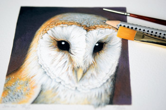 PRINT 'Barn Owl'