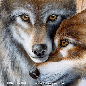 PRINT 'A Winter's Tale' / Wolves white winter friendship Love Wall Art, Lovebugs, Huskies puppy love image 1