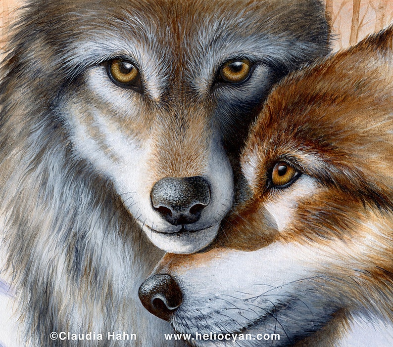 PRINT 'A Winter's Tale' / Wolves white winter friendship Love Wall Art, Lovebugs, Huskies puppy love image 1