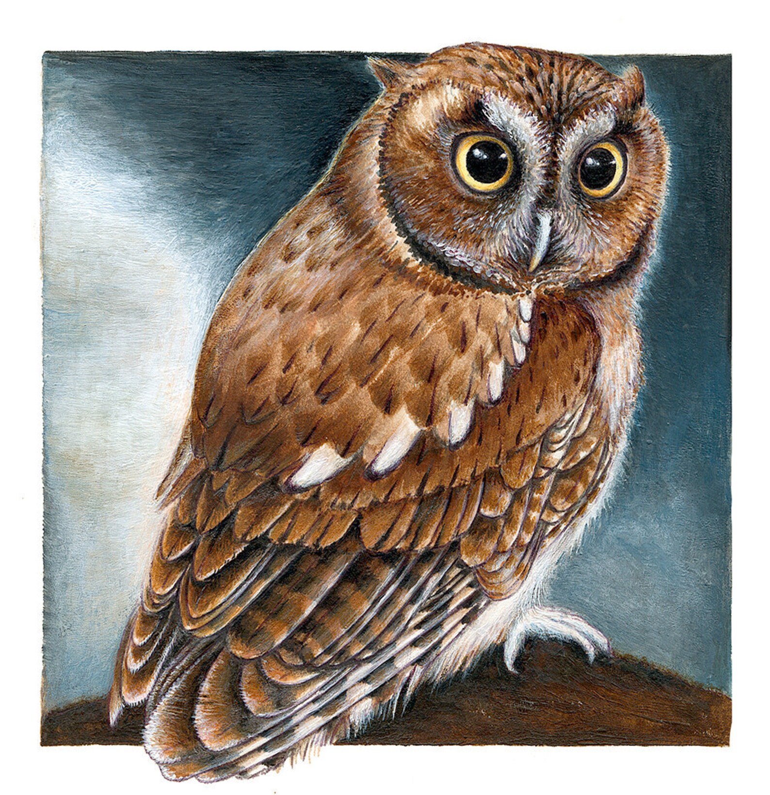 PRINT 'screech Owl' - Etsy