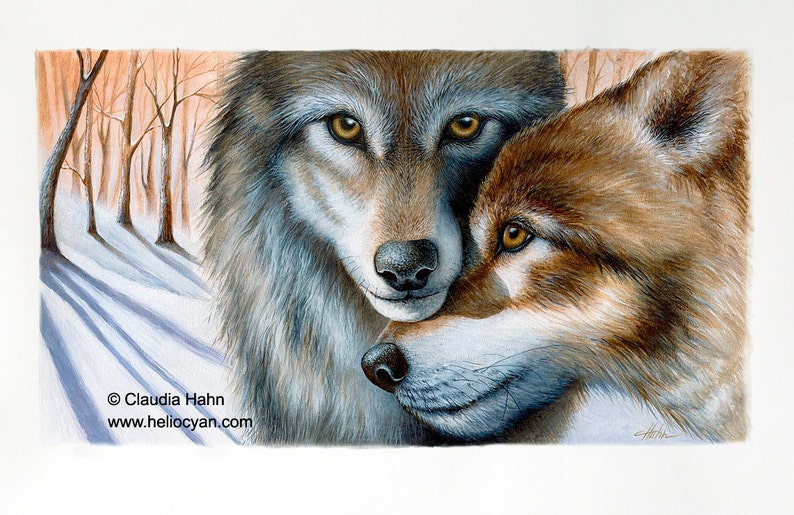 PRINT 'A Winter's Tale' / Wolves white winter friendship Love Wall Art, Lovebugs, Huskies puppy love image 2