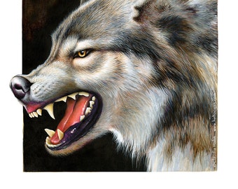 PRINT 'Timber Wolf' Growling wolf