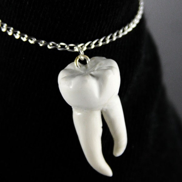 Tooth Necklace, Jewelry, Handmade