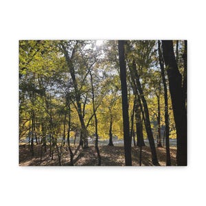 Canvas Wall Art, Trees Fall River Forest Trail Design, Nature Decor, Autumn Landscape Painting, Home Decor, Gift for Nature Lover, Holiday