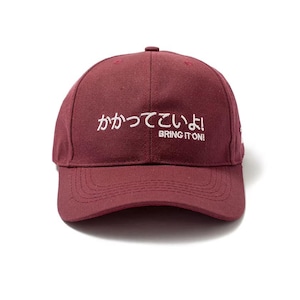 Japanischer gestickter Hut, minimalistische Dad-Kappe, kastanienbraune Streetwear-Hut, motivierende ästhetische Kappe, japanischer Text-Hut cooles Geschenk, Papa-Hüte lustig