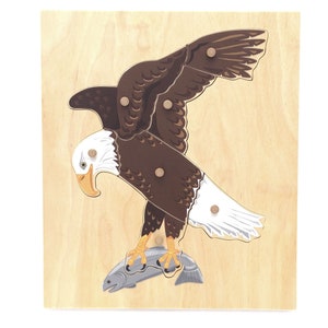 Montessori Bald Eagle Wooden Puzzle Parts of Eagle Anatomy