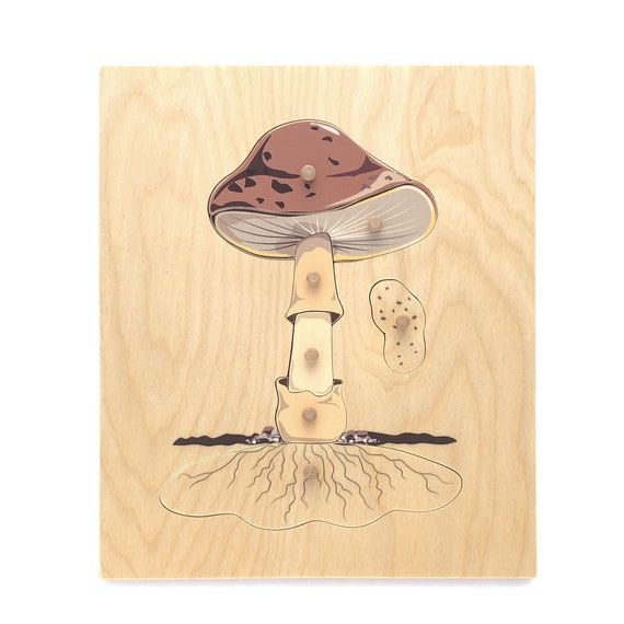 Montessori Mushroom Wooden Puzzle Parts of Mushroom Anatomy