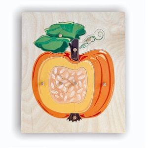 May include: Wooden pumpkin puzzle showing a cross-section. The puzzle features an orange pumpkin with a yellow interior, green leaves, and a brown stem. The puzzle is made of wood and has pegs for easy handling.