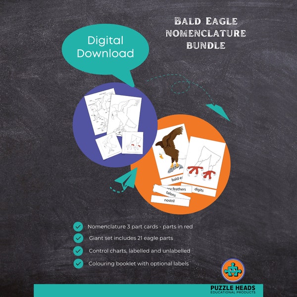 Parts of a Bald Eagle Anatomy Montessori 3 Part Cards Bird Unit Study Printable Download