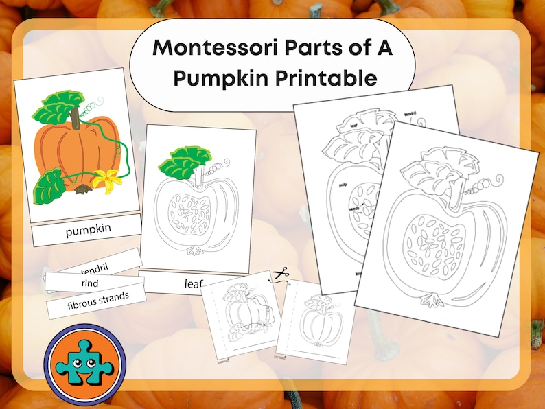 Parts of a Pumpkin Printable 3 Part Cards Anatomy Digital Download Worksheets - Etsy