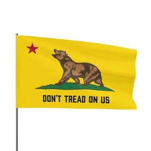 California Flag Roaring Bear Protest Against ICE, Double Sided Flag, Gadsden Flag, Political Activist Gift, Protester image 5