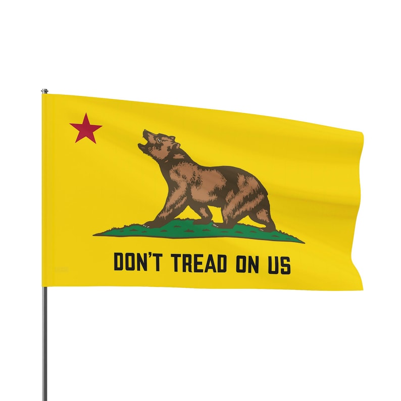 California Flag Roaring Bear Protest Against ICE, Double Sided Flag, Gadsden Flag, Political Activist Gift, Protester image 5