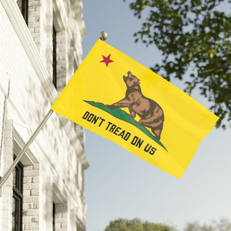 California Flag Roaring Bear Protest Against ICE, Double Sided Flag, Gadsden Flag, Political Activist Gift, Protester image 3