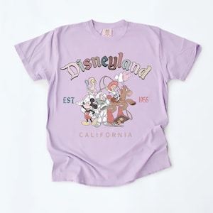 Retro Disneyland Est 1955 California Tee, Vintage Disneyland Sweatshirt, Disney Family Hoodie, Toy Story Sweatshirt, Disney's Gift image 3