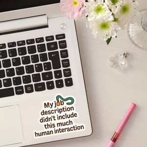 Funny Vinyl Decals, Humorous Stickers for Laptops, Water Bottles, Car Bumpers, Unique Gifts, Quirky Home Decor