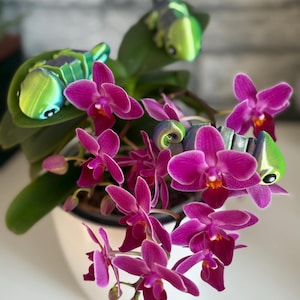 Flexi Chameleon Keychain - Flexi Toy Chameleon - Gift Idea