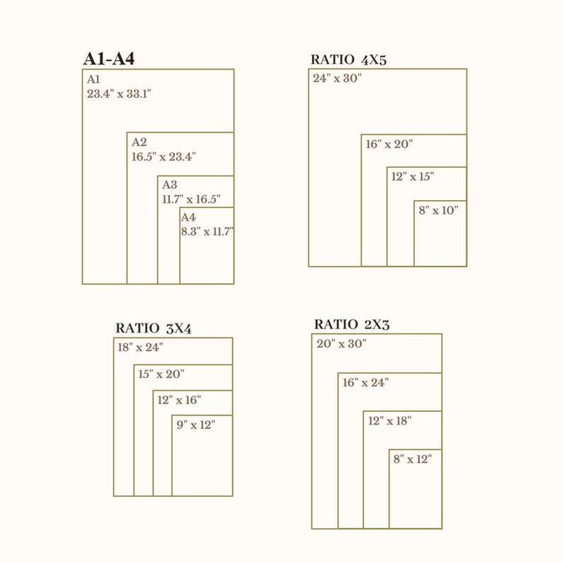 Pu&ograve; includere: Un diagramma che mostra varie dimensioni di stampa e proporzioni. Include formati A1-A4 in pollici e proporzioni 4x5, 3x4 e 2x3, anch'esse in pollici. Il testo &egrave; verde scuro su sfondo beige chiaro.