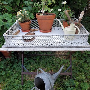 Puede incluir: Una bandeja de malla de alambre blanca sobre una mesa de madera contiene macetas de terracota con plantas, herramientas de jardinería y una regadera color crema. Una regadera de metal galvanizado se encuentra debajo. La escena está ambientada al aire libre en un jardín.
