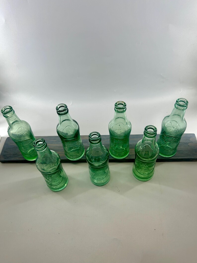 Overhead arrangement of the seven bottles showing their mouths, necks, and round bases.