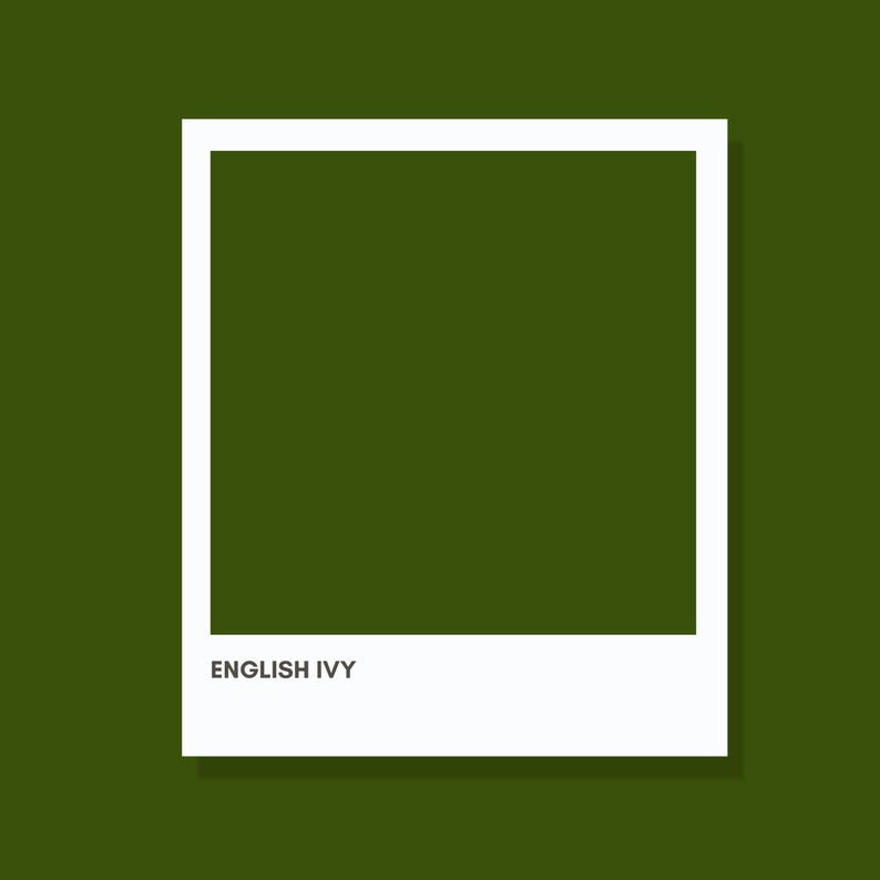 May include: A square frame with a white border on a solid dark olive green background. The interior of the frame is filled with the same dark olive green colour. The text "ENGLISH IVY" is printed in a simple sans-serif font at the bottom.