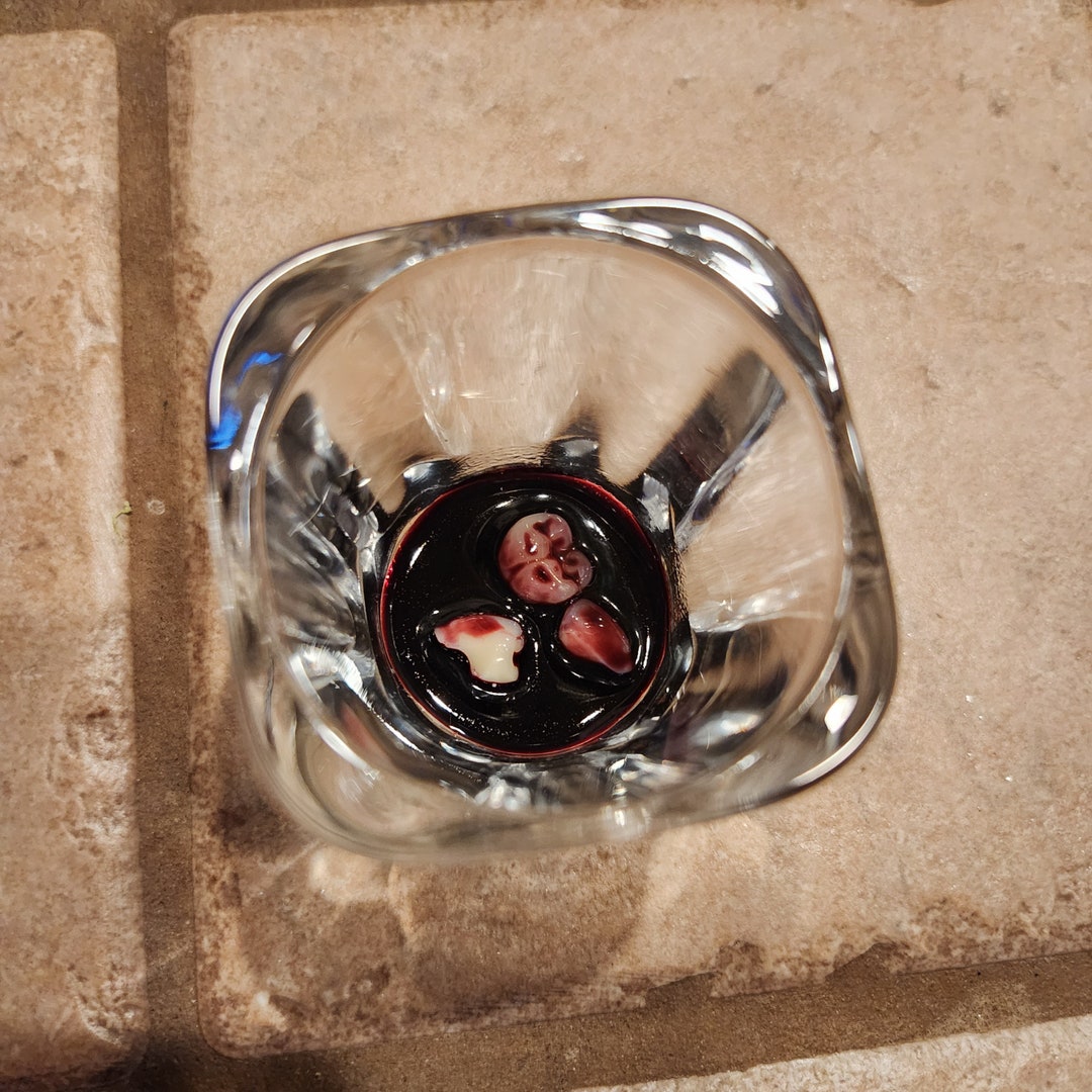 Realistic Bloody Teeth Shot Glass Unique Gift by Dead Head Props
