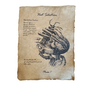 May include: A black and white illustration of a skull with a parasitic creature emerging from it. The image is on a parchment-like background with text that reads "Host Selection", "Reproductive Practices", "Accelerated Growth", and "Phase I".