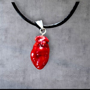 Realistic Bloody cut out Heart Necklace made of resin with leather choker chain, Halloween prop, Horror prop decoration, gothic jewelry