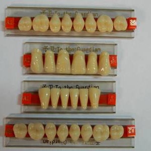 HALLOWEEN PROP - Full Set of Dental Quality Human Resin Teeth for Prop Building!