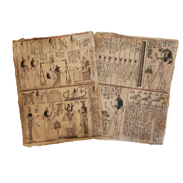 Egyptian Book of the Dead pages, hieroglyphics realist Halloween prop or for framing 8.5 x 11