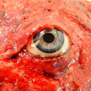 HALLOWEEN Horror Prop - Realistic Life Size Bloody Flesh with eye