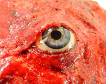 HALLOWEEN Horror Prop - Realistic Life Size Bloody Flesh with eye