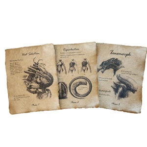 Alien, Xenomorph progression aged printed sketch book pages, Halloween Prop