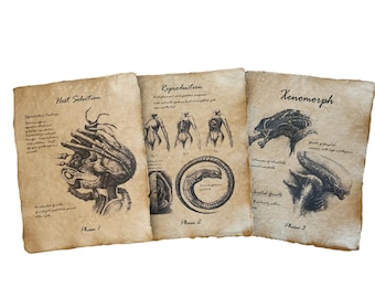 Páginas impresas para cuaderno de bocetos de la edad de la progresión de extraterrestres y xenomorfos, accesorio de Halloween