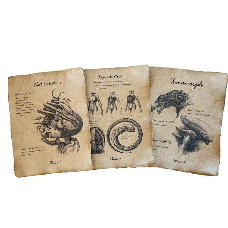 May include: Three pages of a vintage-style illustrated guide to the Xenomorph, a fictional alien creature. The pages are titled "Host Selection", "Reproduction", and "Xenomorph". The illustrations depict the creature's life cycle and physical characteristics.