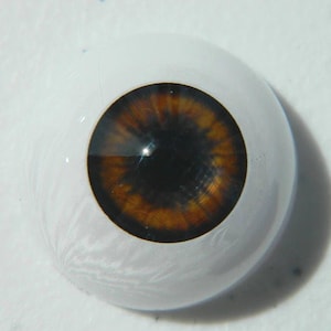 Pair of Life Size Realistic Human Acrylic Half round hollow back Eyes for Halloween PROPS, MASKS, DOLLS FB01
