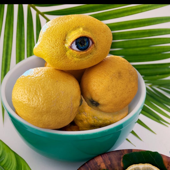 Realistic Life Sized Freaky Fruit All Seeing Lemon by Dead Head