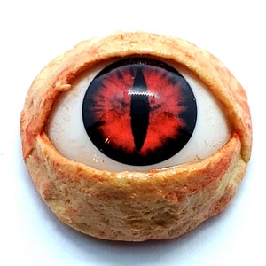 Realistic Life Size Acrylic Eye Dot for Halloween Props, Masks, Costumes,  Crafts, Third Eye Jewelry 1.25&quot; Round Snake, Dragon, Cat eye