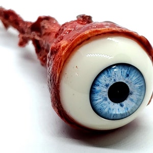 May include: A realistic prop eyeball with a blue iris and a fleshy red and brown surrounding the eye.