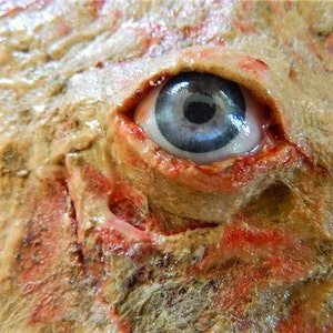 HALLOWEEN Horror Prop - Realistic Life Size Flesh with eye