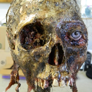Halloween Horror Prop - Life Size Realistic Ripped off Jaw Skull Corps Head