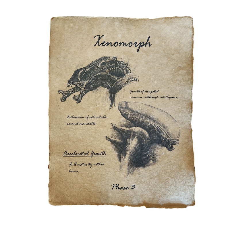 May include: A black and white illustration of a Xenomorph, a fictional creature from the Alien franchise. The illustration shows the creature in two different stages of development, with text describing its physical characteristics and growth stages. The text includes "Xenomorph", "Extension of retractable second mandible", "Growth of elongated cranium, with high intelligence", "Accelerated Growth", "Full maturity within hours", and "Phase 3".