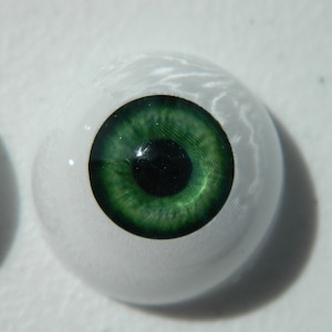 Pair of Life Size Realistic Human Acrylic Half round hollow back Eyes for Halloween PROPS, MASKS, DOLLS FB03 (Green)