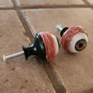 May include: Two novelty cabinet knobs with an eyeball design. The knobs feature a black base, a white and brown eyeball, and a red and pink fleshy texture around the eye. The knobs have silver screws.
